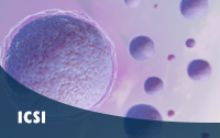 Intracytoplasmic Sperm Injection (ICSI)