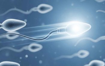 How To Make Sperm Stronger For Pregnancy – A Complete Guide 9 How To Make Sperm Stronger For Pregnancy – A Complete Guide