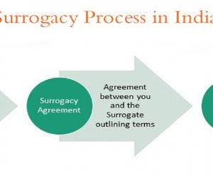 An Overview of the Surrogacy Process