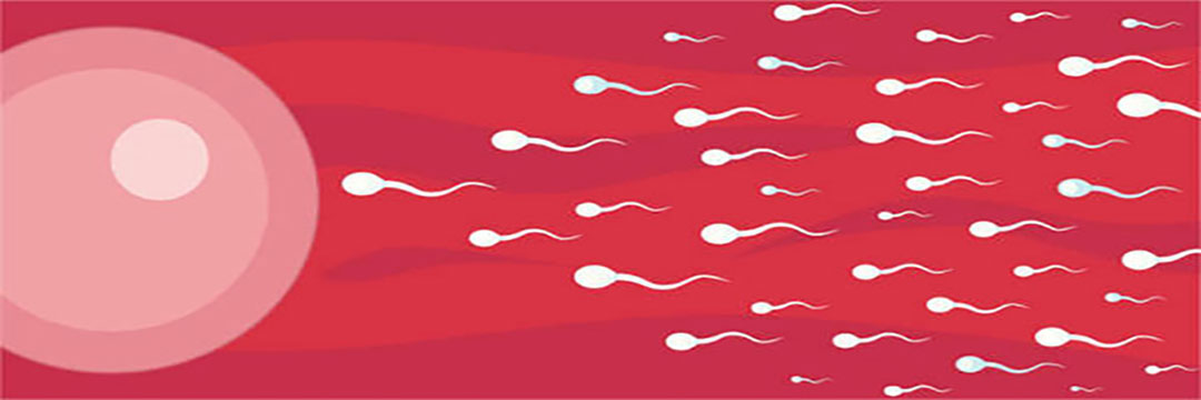 10 effective ways to make healthy sperm