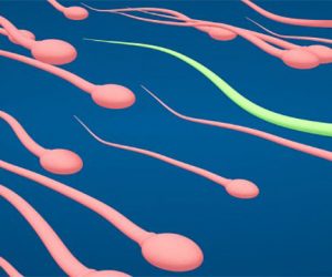 TOI Interviews Dr. Rita Bakshi on Increasing Sperm Costs in India