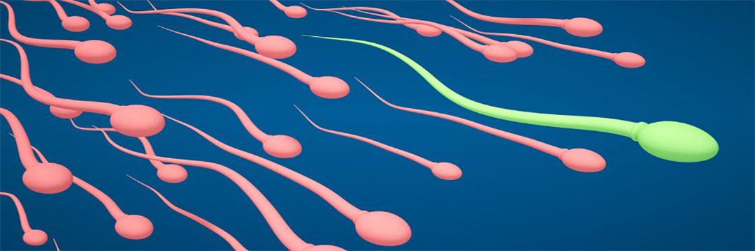 TOI Interviews Dr. Rita Bakshi on Increasing Sperm Costs in India