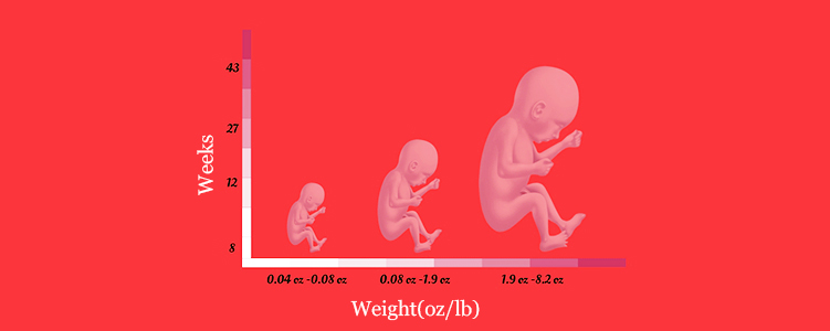 is-my-baby-s-weight-normal