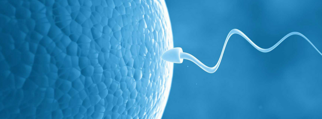 IVF Treatment in Jaipur: A Ray of Hope for Infertile Couples