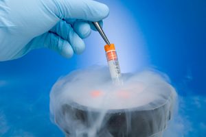 advanced course in cryopreservation